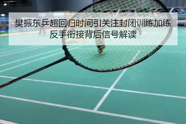 樊振东乒超回归时间引关注封闭训练加练反手衔接背后信号解读